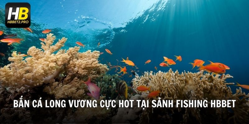 Bắn cá long vương cực hot tại sảnh fishing HBBET