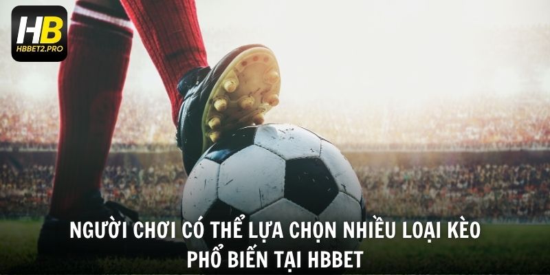 Người chơi có thể lựa chọn nhiều loại kèo phổ biến tại HBBET