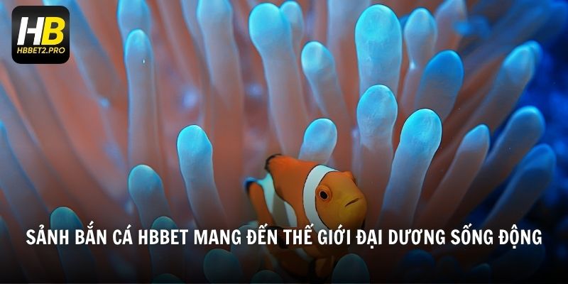 Sảnh Bắn cá HBBET mang đến thế giới đại dương sống động